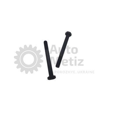 Болт (М8x1.25x100) с шестигранной головкой (частичная резьба) (класс прочности 8.8) (Ключ 13) Bo.PCR.37-1 фото