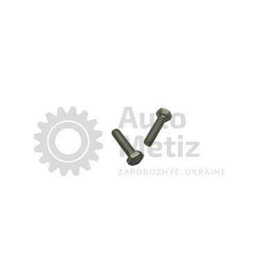 Болт (М8х1.25х30) с шестигранной головкой (полная резьба) (класс прочности 10.9) (Ключ 13) Bolt.ost.04-1 фото