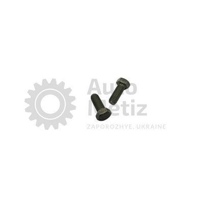 Болт (М12х1.75х30) с шестигранной головкой (полная резьба) (класс прочности 8.8) (Ключ 18) Bolt.ost.09 фото