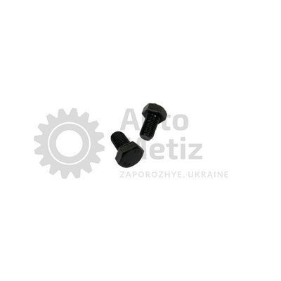 Болт (М12x1.25x35) с шестигранной головкой (полная резьба) (класс прочности 10.9) (Ключ 19) Bo.PPR.51 фото