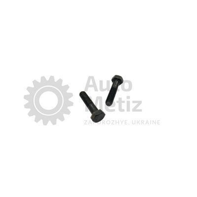Болт (М12х1.5х55) із шестигранною головкою (часткове різьблення) (клас міцності 10.9) (Ключ 19) Bo.PCR.91 фото
