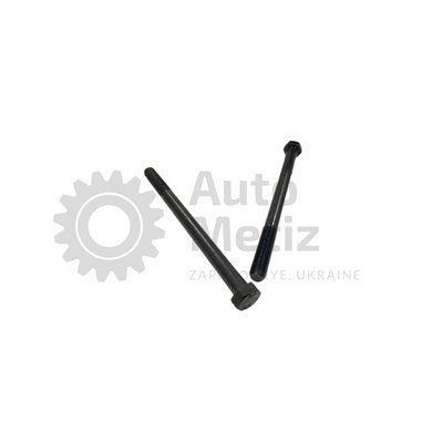 Болт (М16x1.5x240) с шестигранной головкой (частичная резьба) (класс прочности 10.9) (Ключ 24) Bo.PCR.145 фото
