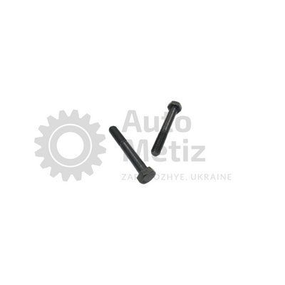Болт (М12х1.5х70) із шестигранною головкою (часткове різьблення) (клас міцності 10.9) (Ключ 19) Bo.PCR.93 фото