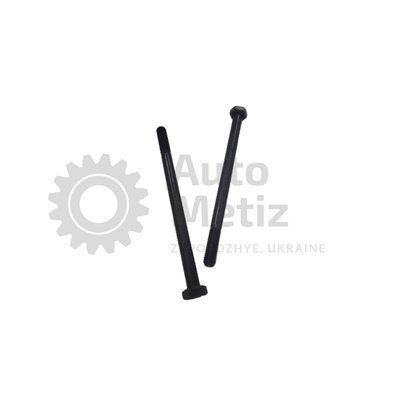 Болт (М8x1.25x170) із шестигранною головкою (часткове різьблення) (клас міцності 10.9) (Ключ 13) Bo.PCR.45 фото