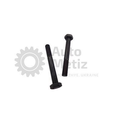 Болт (М10x1.25x80) с шестигранной головкой (частичная резьба) (класс прочности 8.8) (Ключ 17) Bo.PCR.63-1 фото
