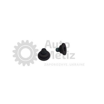 Пробка/Заглушка (15-8/1,0) під ключ TORX 15*8 Різьблення 14/7 (клас міцності 10.9) з герметиком Probka.37 фото