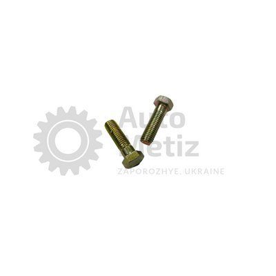 Болт (М12х1.75х40) с шестигранной головкой (частичная резьба) (класс прочности 5.8) (Ключ 17) Bolt.ost.09-1 фото