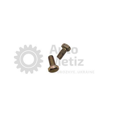 Болт (М12х1.75х25) з шестигранною головкою (повне різьблення) (клас міцності 8.8) (Ключ 19) Bo.Ch.28-2 фото