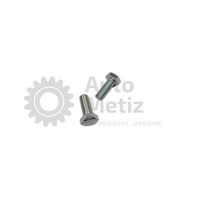 Болт (М12х1.75х30) з шестигранною головкою (повне різьблення) (клас міцності 5.8) (Ключ 19) Bo.Ch.29-1 фото