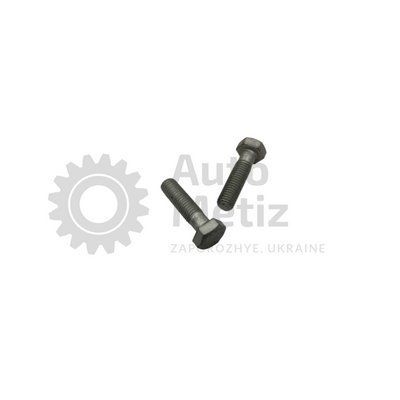 Болт (М12х1.75х45) с шестигранной головкой (частичная резьба) (класс прочности 8.8) (Ключ 19) Bolt.ost.10 фото