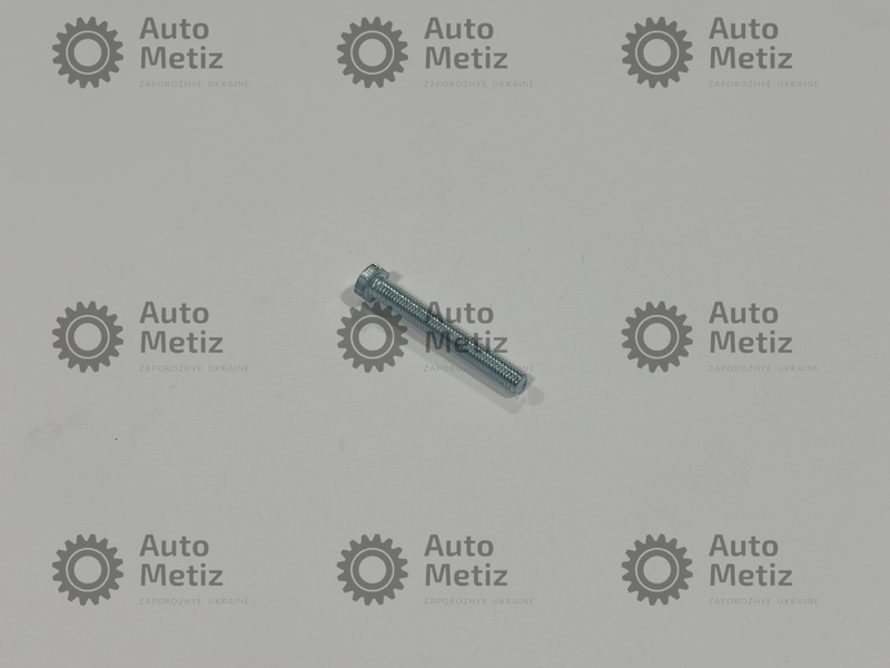 Болт (М5х40) с шестигранной головкой (полная резьба) (класс прочности 5.8) (Ключ 8) Bo.Ch.01-5 фото