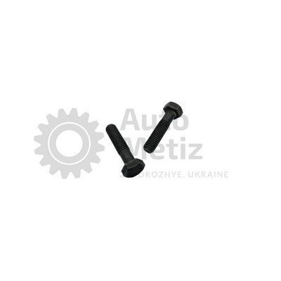 Болт (М12х1.75х50) с шестигранной головкой (частичная резьба) (класс прочности 8.8) (Ключ 19) Bolt.ost.11 фото