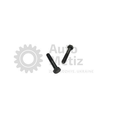 Болт (М12x1.75x120) із шестигранною головкою (часткове різьблення) (клас міцності 10.9) (Ключ 19) Bo.PCR.99 фото