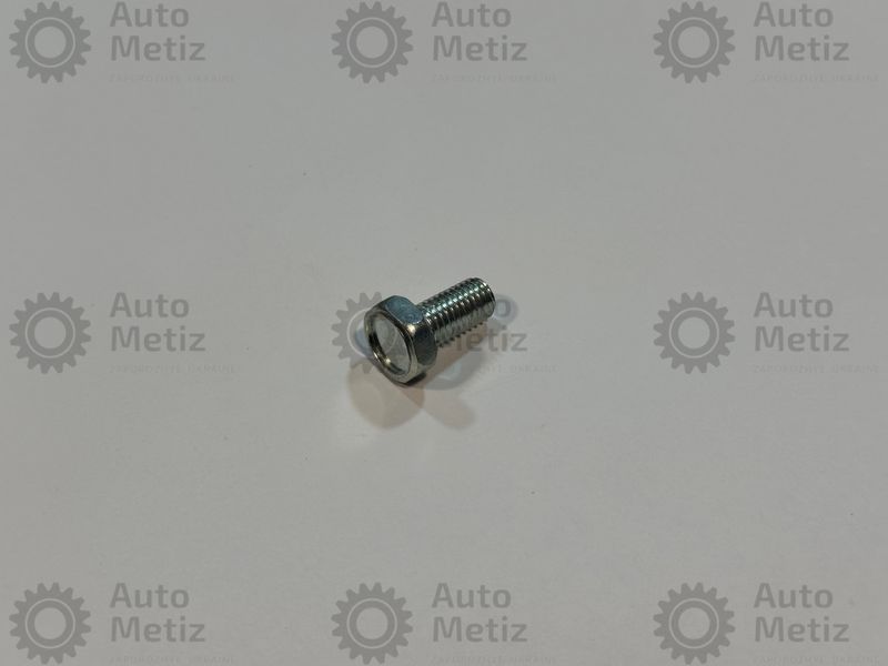 Болт (М10х1.5х20) з шестигранною головкою (повне різьблення) (клас міцності 8.8) (Ключ 14) Bo.Ch.23-0 фото