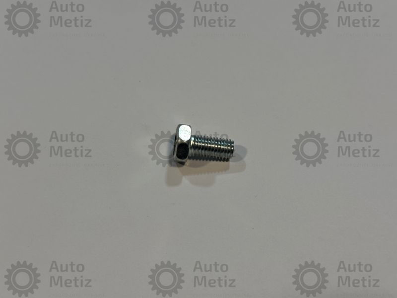 Болт (М10х1.5х20) з шестигранною головкою (повне різьблення) (клас міцності 8.8) (Ключ 14) Bo.Ch.23-0 фото