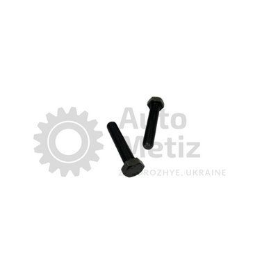 Болт (М12x1.25x50) с шестигранной головкой (полная резьба) (класс прочности 10.9) (Ключ 19) Bo.PPR.54 фото