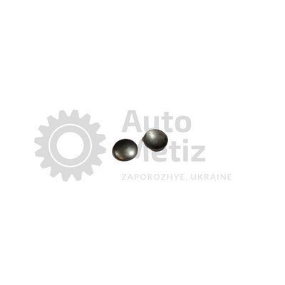 Заглушка распредвала D12 ЗАЗ 1102 Таврія , 1103 Славута, 1105 Дана Zag.blok.11 фото