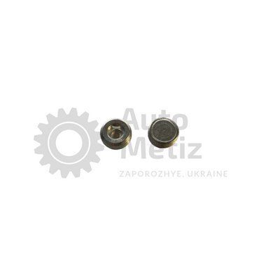 Заглушка головки блоку ВАЗ 2101, 2102, 2103, 2104, 2105, 2106, 2107 (Алюміній) D28 Zag.blok.16 фото