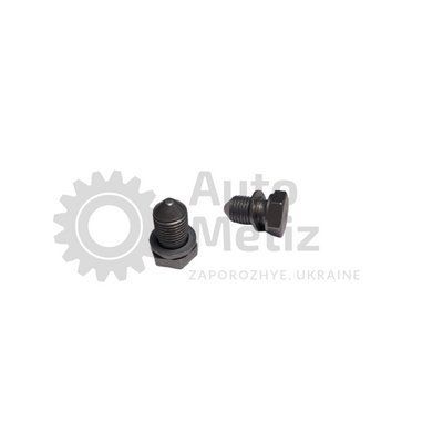 Пробка піддону з шайбою (M14x1.5x22) (Audi A1, A3, A3, A6, Seat, Volkswagen Jetta) Probka.17 фото