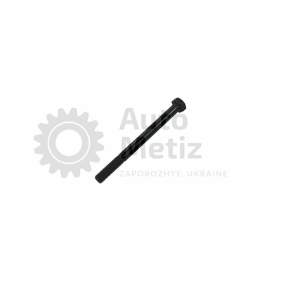 Болт (М5x60) с шестигранной головкой (частичная резьба) (класс прочности 10.9) (Ключ 8) Bo.PCR.8 фото