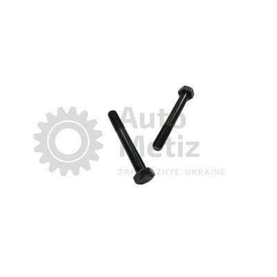 Болт (М14x1.5x55) с шестигранной головкой (частичная резьба) (класс прочности 10.9) (Ключ 22) Bo.PCR.110 фото