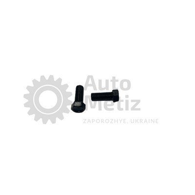 Болт (М10х1.25х25) с шестигранной головкой (полная резьба) (класс прочности 9.8) (Ключ 14) B.ostPr.16 фото