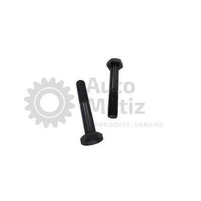 Болт (М10x1.25x55) із шестигранною головкою (часткове різьблення) (клас міцності 10.9) (Ключ 17) Bo.PCR.61 фото