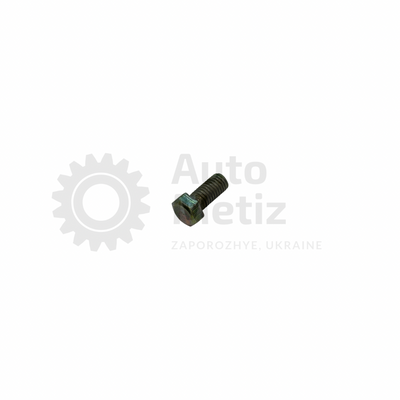 Болт (М10х1.5х20) с шестигранной головкой (полная резьба) (класс прочности 5.8) (Ключ 14) B.ostPr.14 фото