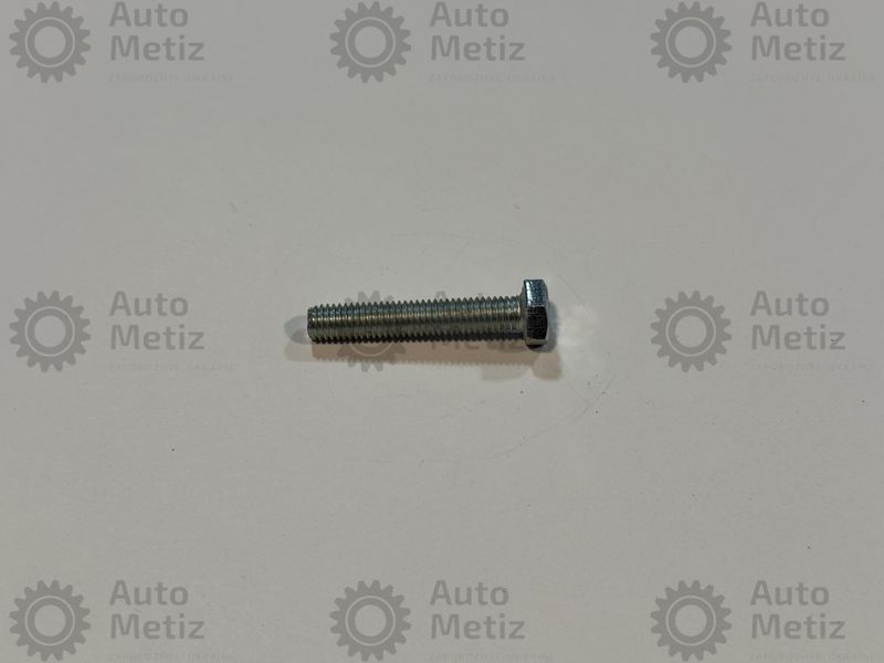 Болт (М8х1.25х45) с шестигранной головкой (полная резьба) (класс прочности 5.8) (Ключ 13) Bo.Ch.14 фото