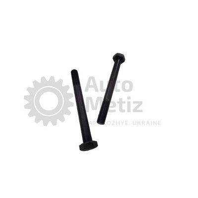 Болт (М10x1.25x100) із шестигранною головкою (часткове різьблення) (клас міцності 10.9) (Ключ 17) Bo.PCR.66 фото