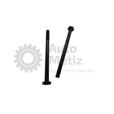 Болт (М10x1.25x130) із шестигранною головкою (часткове різьблення) (клас міцності 10.9) (Ключ 17) Bo.PCR.69 фото