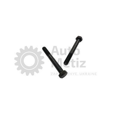 Болт (М14x2x110) с шестигранной головкой (частичная резьба) (класс прочности 10.9) (Ключ 22) Bo.PCR.122 фото