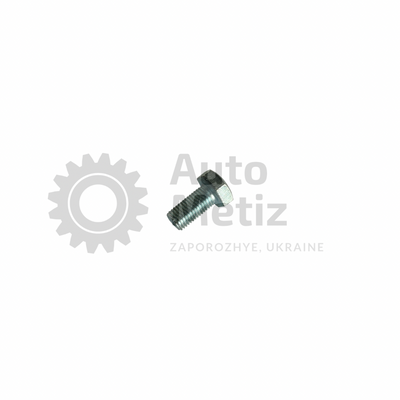 Болт (М8x1х16) с шестигранной головкой (полная резьба) (класс прочности 8.8) (Ключ 13) Bo.PPR.20 фото