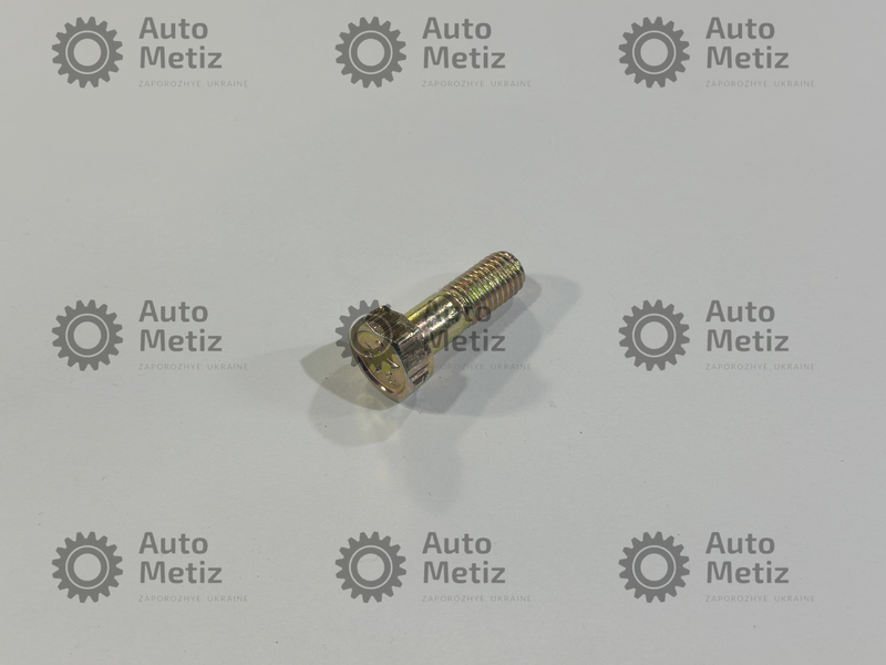 Болт (М10х1.5х30) фланця передньої маточини ЗАЗ Таврія 1102, 1103 Славута, 1105 Дана Spec.bolt.33-1 фото