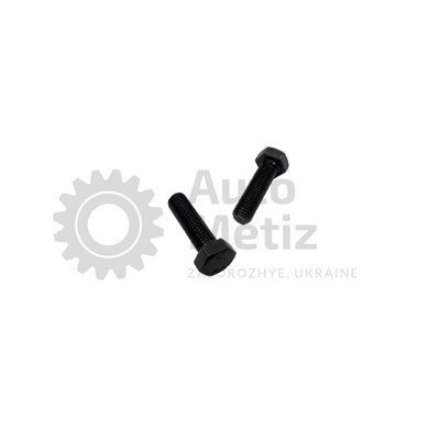Болт (М14x2x100) з шестигранною головкою (повне різьблення) (клас міцності 10.9) (Ключ 22) Bo.PPR.73 фото