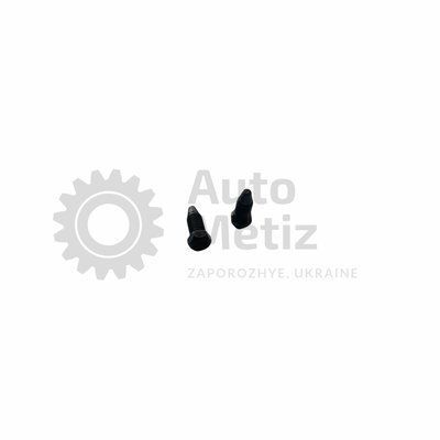 Пробка конусна М8х1 Probka.47-1 фото