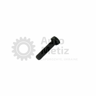 Болт (М8x1.25х35) с шестигранной головкой (полная резьба) (класс прочности 10.9) (Ключ 13) Bo.PPR.31 фото