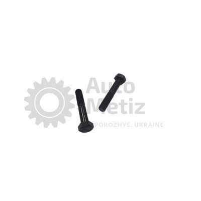 Болт (М8x1.25x60) із шестигранною головкою (часткове різьблення) (клас міцності 10.9) (Ключ 13) Bo.PCR.32 фото