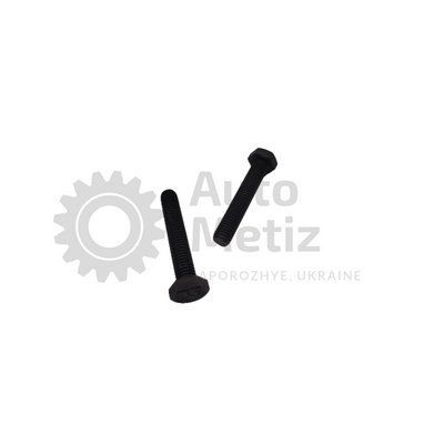 Болт (М8x1.25х45) с шестигранной головкой (полная резьба) (класс прочности 10.9) (Ключ 13) Bo.PPR.33 фото