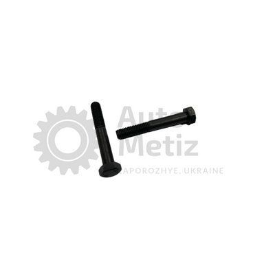 Болт (М8x1.25x55) с шестигранной головкой (частичная резьба) (класс прочности 10.9) (Ключ 13) Bo.PCR.31-1 фото