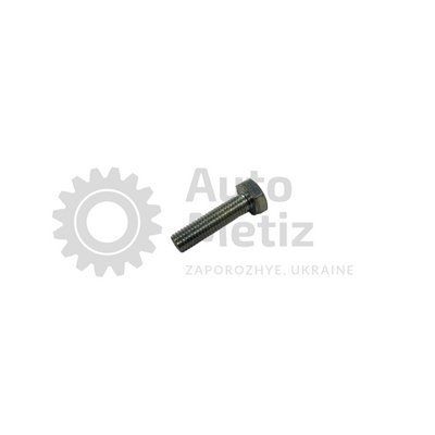 Болт (М16х2х40) з шестигранною головкою (повне різьблення) (клас міцності 5.6) (Ключ 24) Bo.Ch.33 фото