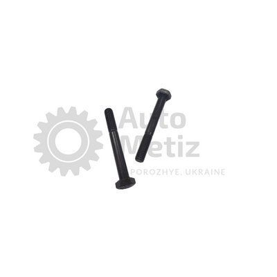 Болт (М8x1.25x75) із шестигранною головкою (часткове різьблення) (клас міцності 10.9) (Ключ 13) Bo.PCR.35 фото