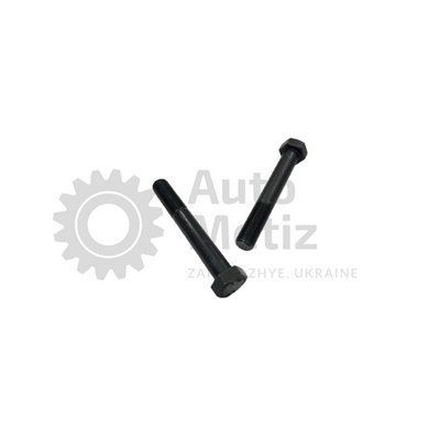 Болт (М16x1.5x120) с шестигранной головкой (частичная резьба) (класс прочности 10.9) (Ключ 24) Bo.PCR.138 фото